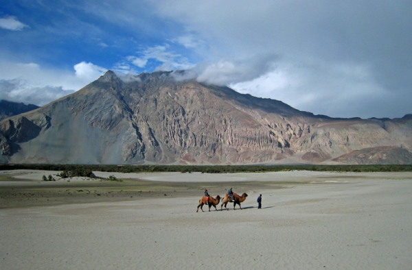 Ladakh-Nubra valley tour