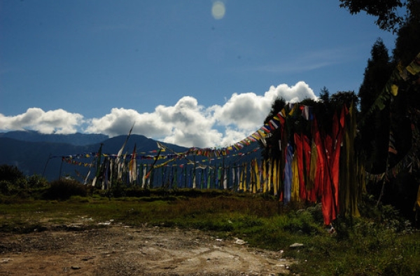 Derjeeling and Sikkim